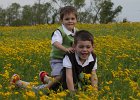 Flower Field